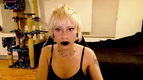 Snapshot of tryp666 chatting on October 13, 4:12 am Cait online show from October 13, 4:12 am