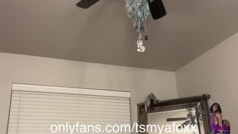 Snapshot of tsfoxx chatting on December 11, 12:34 pm tsfoxx online show from December 11, 12:34 pm