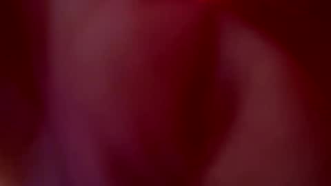 JULIETA  online show from October 20, 1:06 am