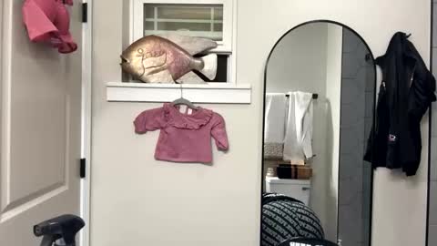 Tusekzee online show from November 17, 12:38 am