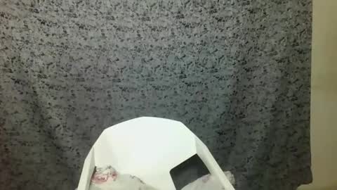 Snapshot of twerker_lyly chatting on October 7, 7:00 pm twerker_lyly online show from October 7, 7:00 pm