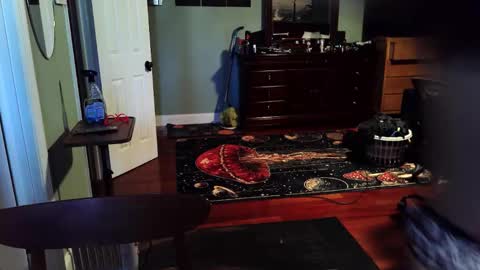 twerkyballs online show from December 22, 6:38 pm