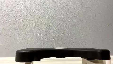 Snapshot of twetcock chatting on February 6, 12:00 am twetcock online show from February 6, 12:00 am