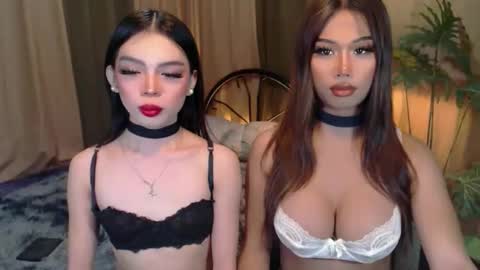 twinktransshanel online show from October 6, 4:21 am