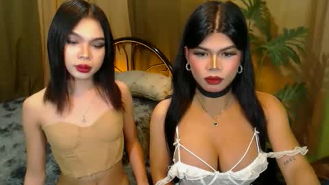 Snapshot of twinktransshanel chatting on October 20, 10:16 am twinktransshanel online show from October 20, 10:16 am