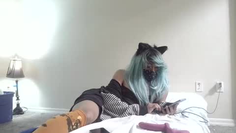 twinkyteddy online show from October 6, 12:19 am