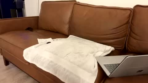 txguybi online show from August 4, 3:53 am