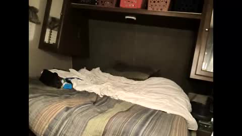 txspeedoboy1986 online show from September 9, 3:06 am