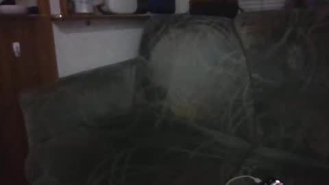 Snapshot of tybud4200 chatting on October 20, 7:31 am tybud4200 online show from October 20, 7:31 am