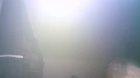 tybursex666 online show from September 26, 11:42 pm