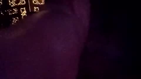 tylerdowell10111 online show from April 15, 11:50 am