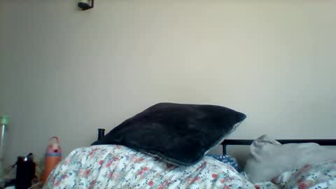 Snapshot of uncircumcise30 chatting on March 19, 12:53 pm uncircumcise30 online show from March 19, 12:53 pm