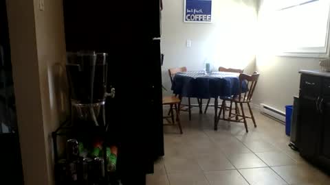 Snapshot of uncutabs123 chatting on February 23, 8:28 pm Buzz Bigcock online show from February 23, 8:28 pm