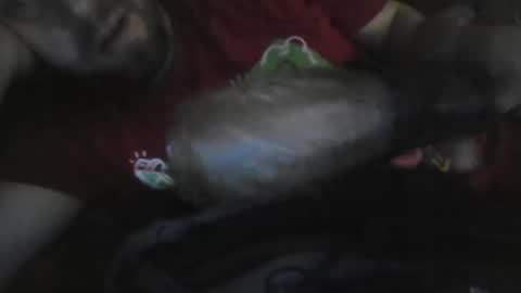 UncutGem online show from December 17, 7:03 am