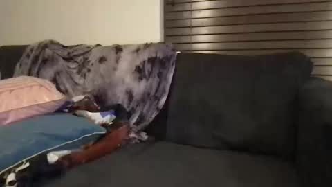 Urwivesaffair online show from October 12, 1:54 pm