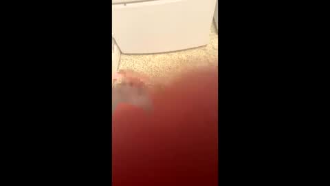 Snapshot of useabitchplz chatting on March 23, 2:59 am Slave bitch online show from March 23, 2:59 am