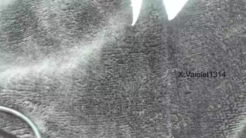 Vaiolet1314 online show from January 26, 3:58 pm