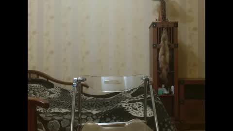 Snapshot of valenttijm3851 chatting on April 17, 6:22 pm valentijm online show from April 17, 6:22 pm
