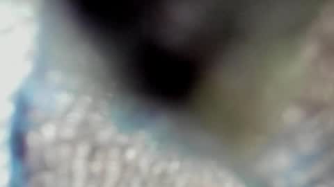 valeri_tafur online show from October 13, 10:59 am