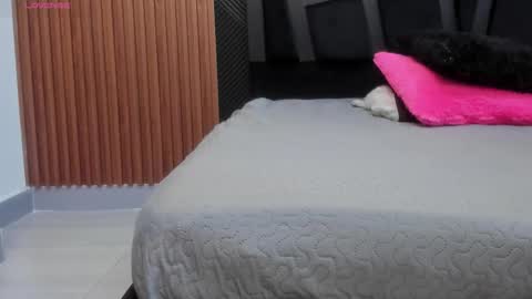 Snapshot of valka_ross chatting on November 17, 11:10 pm VALKA ROSS online show from November 17, 11:10 pm