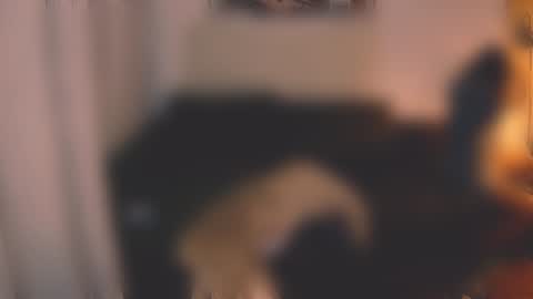 Snapshot of valorant_girl chatting on December 7, 3:08 pm Little Devil online show from December 7, 3:08 pm