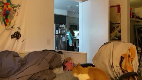 Snapshot of vanessapark chatting on January 4, 3:07 pm Vanessa online show from January 4, 3:07 pm