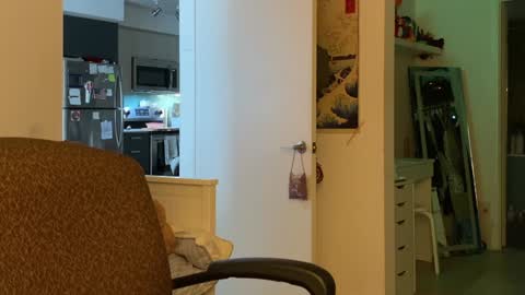 Snapshot of vanessapark chatting on January 5, 3:34 pm Vanessa online show from January 5, 3:34 pm