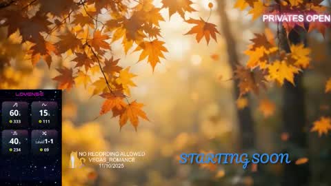 vegas_romance online show from November 11, 12:43 am