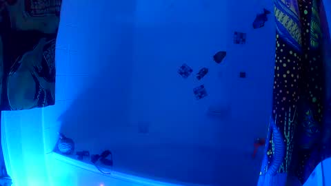 Snapshot of vegasmd chatting on January 30, 1:53 pm vegasmd online show from January 30, 1:53 pm