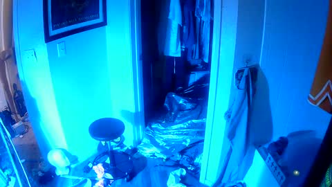 Snapshot of vegasmd chatting on February 4, 11:38 pm vegasmd online show from February 4, 11:38 pm