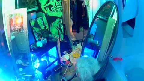 Snapshot of vegasmd chatting on February 16, 1:58 am vegasmd online show from February 16, 1:58 am