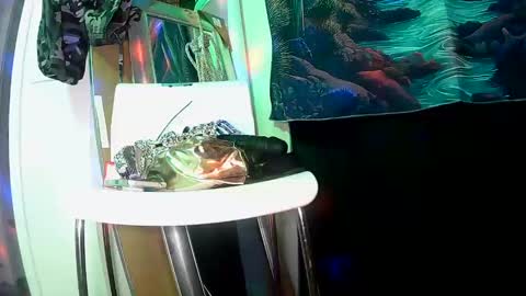 Snapshot of vegasmd chatting on February 27, 11:04 pm vegasmd online show from February 27, 11:04 pm