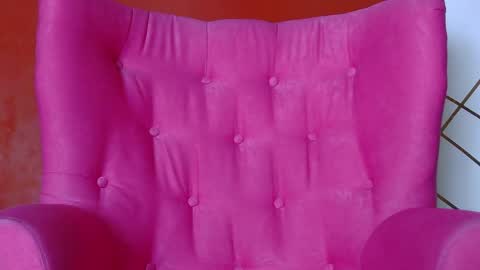 badgaleli online show from March 21, 8:19 am