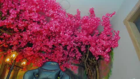 Venus Blazer  online show from October 29, 11:01 am