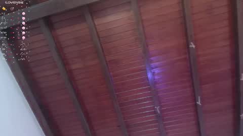 Snapshot of venusevans1 chatting on January 21, 2:43 am Venus Evans online show from January 21, 2:43 am