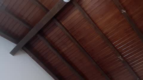 Snapshot of venusevans1 chatting on February 4, 3:54 am Venus Evans online show from February 4, 3:54 am