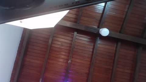 Snapshot of venusevans1 chatting on February 23, 12:19 am Venus Evans online show from February 23, 12:19 am