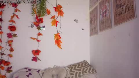 Snapshot of verho_vlaad chatting on October 29, 5:36 pm Verho online show from October 29, 5:36 pm