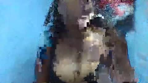 Snapshot of verolla31 chatting on February 2, 8:08 pm verolla31 online show from February 2, 8:08 pm