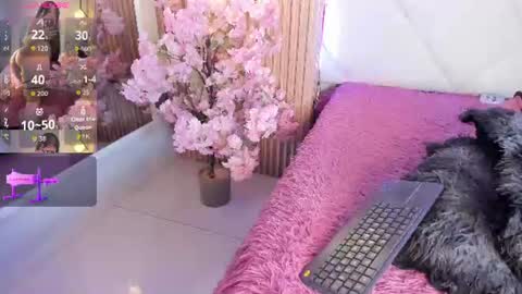 Snapshot of veronica_hill_ chatting on June 24, 3:05 am veronica_hill_ online show from June 24, 3:05 am