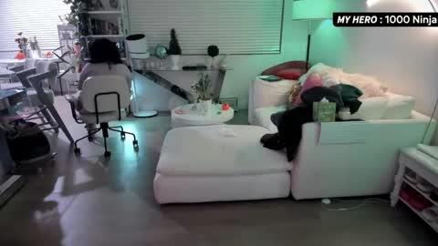 vesafine online show from November 29, 7:00 am