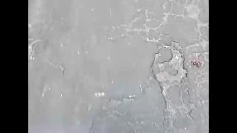 Snapshot of viciouzz1 chatting on November 24, 7:02 pm viciouzz1 online show from November 24, 7:02 pm