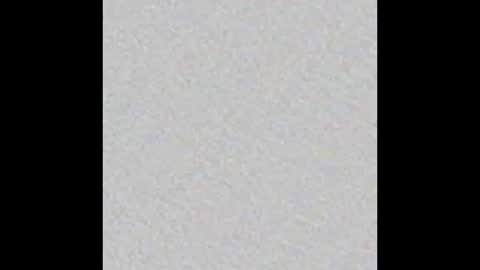 Victoria Collins online show from October 17, 12:08 pm