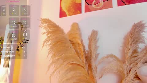 Snapshot of victoria_rash chatting on February 3, 9:07 pm VICTORIA online show from February 3, 9:07 pm