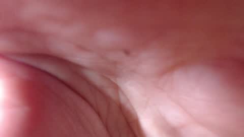 VictoryVega online show from September 11, 7:52 am