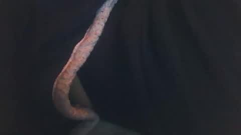 Snapshot of vicvictoree chatting on December 14, 2:06 am vicvictoree online show from December 14, 2:06 am