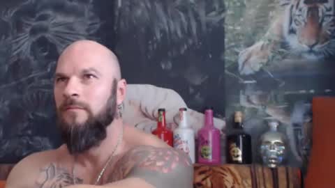 viking online show from November 4, 8:02 am