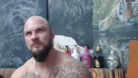 viking online show from November 5, 8:20 pm