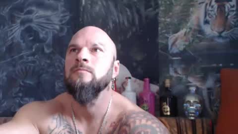 viking online show from November 11, 8:14 am