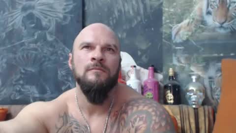 viking online show from November 21, 7:12 pm